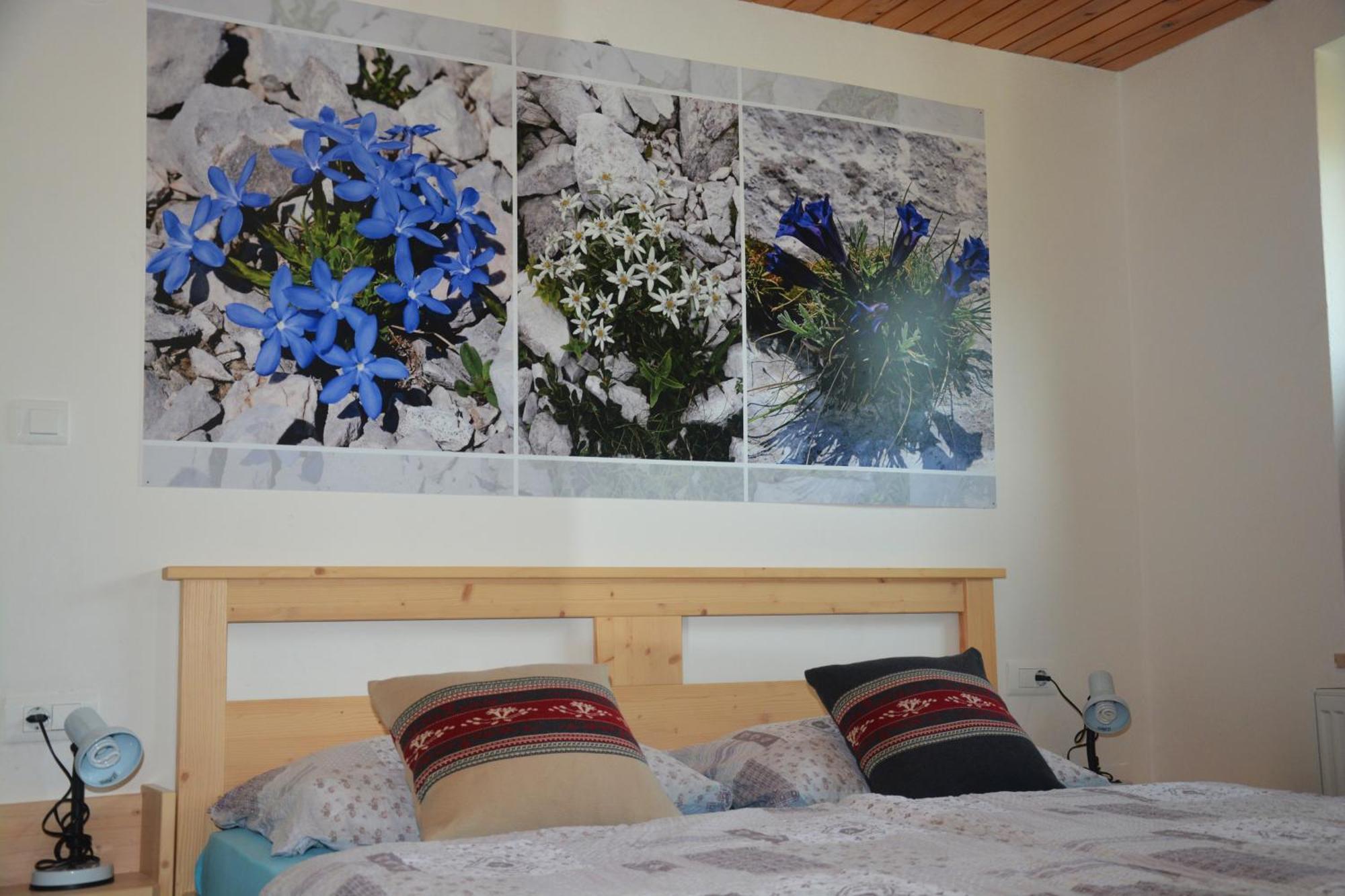 Apartments Arh Бохин Екстериор снимка
