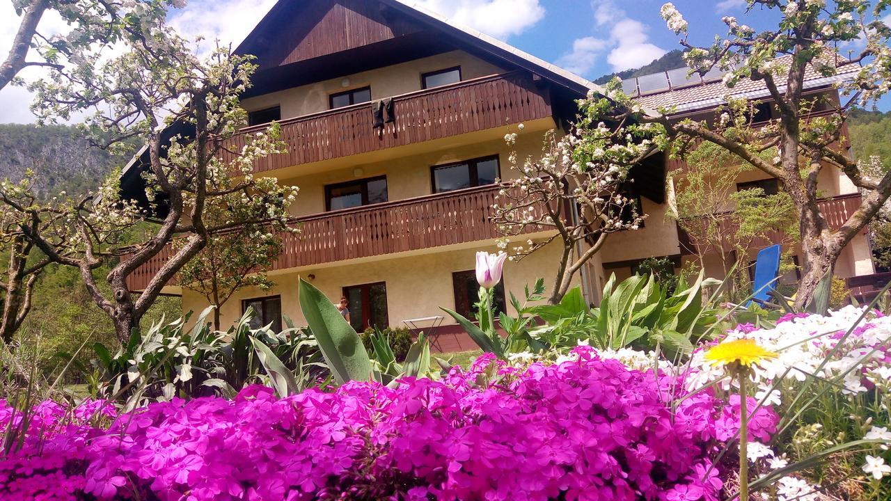 Apartments Arh Бохин Екстериор снимка